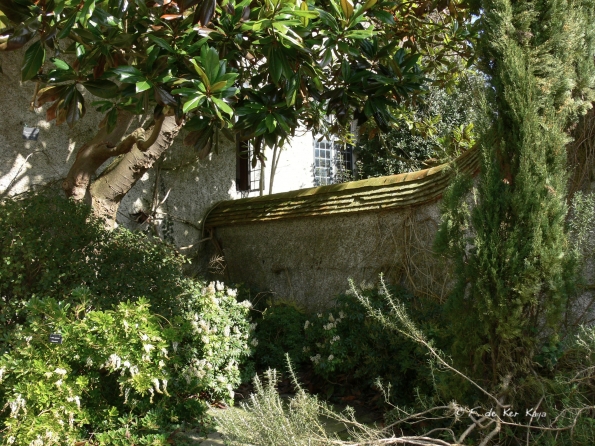 Bois des Moutiers (56) mars 2012